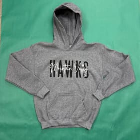 Photo of Youth Grey Hawks Hoodie