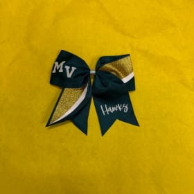 Photo of Hawk Bow