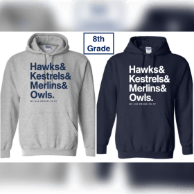 Sweatshirt item