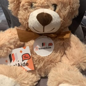 Photo : Ours en Peluche VocalAide