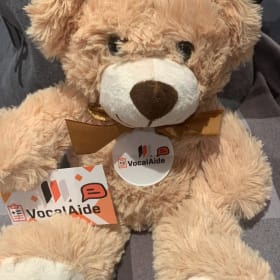 Photo : Ours en Peluche VocalAide