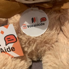 Photo : Ours en Peluche VocalAide