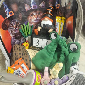 Photo of Halloween Kitty Basket