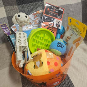 Photo of Halloween Doggie Basket