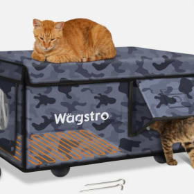 Photo of Heated Shelter for your feral friends