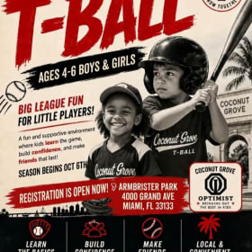 T-Ball (Boys and Girls) item
