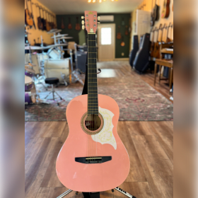 Photo of Rogue acoustic guitar