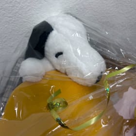Snoopy's Sweet Dreams Baby Gift Basket item