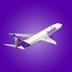 Avelo Airlines Roundtrip Package item