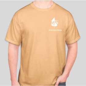 T-shirt item