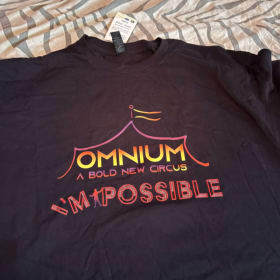 T-shirt item