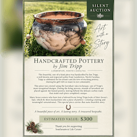 Photo of Handcrafted Pottery by Jimm Tripp (Value: $300)