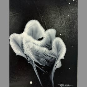 “Lily of the Night” by Janie Padilla item