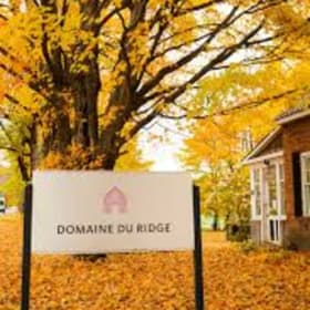 Domaine du Ridge dégustation Le Curieux item