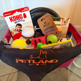 Photo of Petland Gift Basket for Dogs