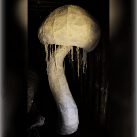 Photo of Sponsa Monster #4911