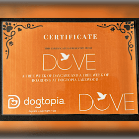 Dog Daycare & Overnight Boarding item
