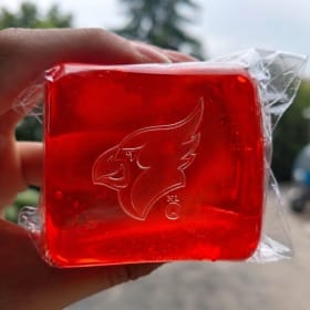 Photo of Cardinal squishies