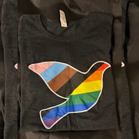 Women's Dark Grey Pride DOVE T-Shirt item