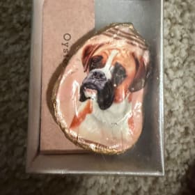 Oyster magnets item