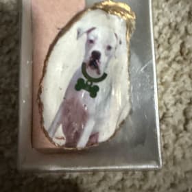 Oyster magnets item