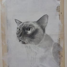 Custom Pet Portrait (Graphite or Pen) item