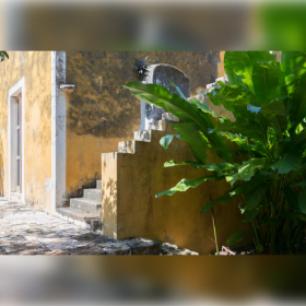 Hacienda Tzalancab | Mérida, Yucatán, México item