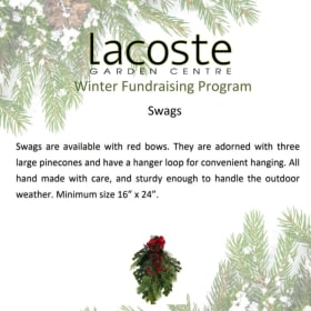 Swags item