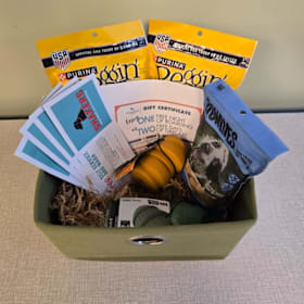 Photo of 11. Man's Best Friend ($195 value)