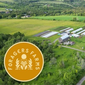 Foragers Farm Garden Tour and Cooking Experience item