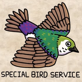 Violet-green Swallow item
