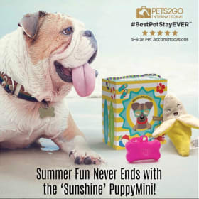 SUNSHINE PUPPYMINI AMENITY GIFT PACK item
