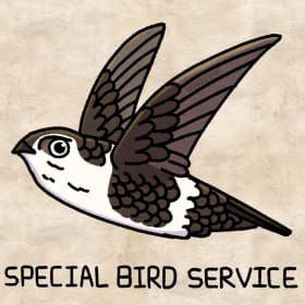 White-throated Swift item