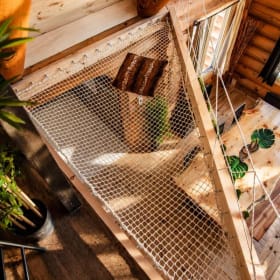 Photo : 🍃 Séjour au chalet Jungle - Chaletô