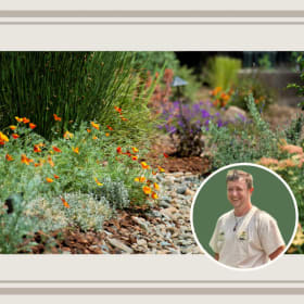 Photo of Sustainable Landscape Glow-Up