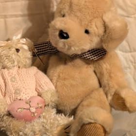 Cuddle Buddies item