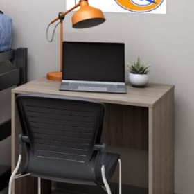 One Desk and Chair item