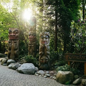 Capilano Suspension Bridge Admission for 4 item