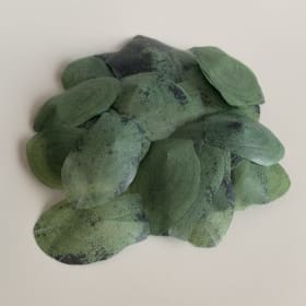 #15 Louise Bérubé / Fragments item