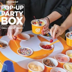 (109) Orange Leaf Frozen Yogurt Pop-Up Party Box item