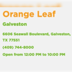 (109) Orange Leaf Frozen Yogurt Pop-Up Party Box item