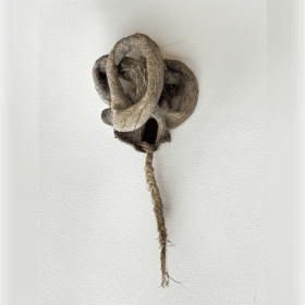 #19 Marjolein Dallinga / Croquis / Exploration item