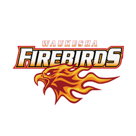 Firebirds Fireball Tournament 10U Entry item