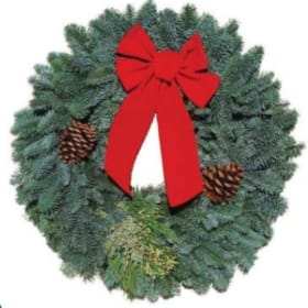 Mixed with Cone and Bow item