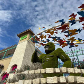 A Wild Day Out: Four Tickets to the San Antonio Zoo item