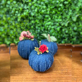 Photo of Denim pumpkin set