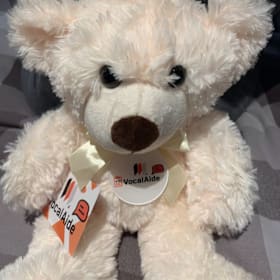 Photo : Ours en Peluche VocalAide