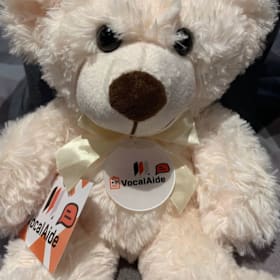 Photo : Ours en Peluche VocalAide