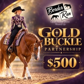 Photo of Gold Buckle Level