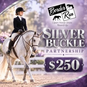 Photo of Silver Buckle Level